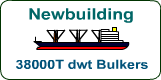 Double Hull Bulk Carriers 38,000T dwt - for Sale