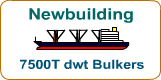 Double Hull  Bulkers - 7500T dwt - For sale