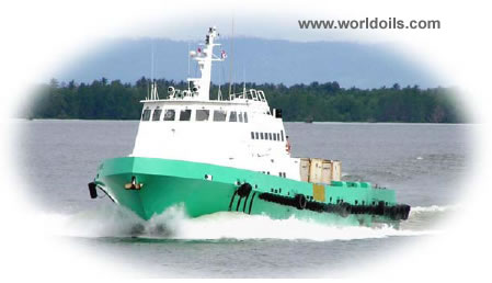 Aluminium Fast Support Intervention Vessel 46M for Sale