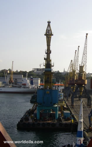 Floating Crane for sale