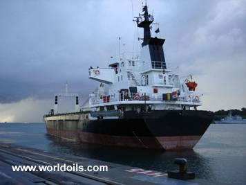 Small Size Bulk Carrier for Sale