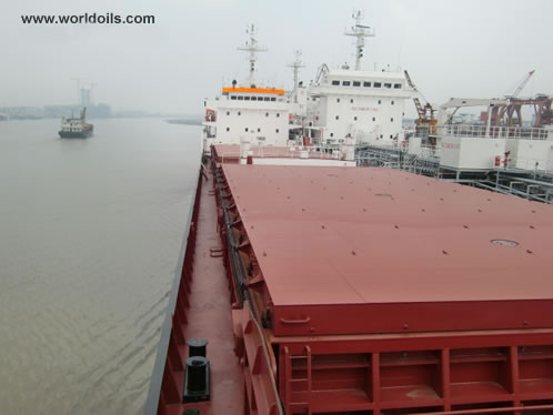 Mini Bulk Carriers For sale with Time Charter Options