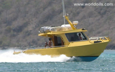 Pilot Boat - for sale