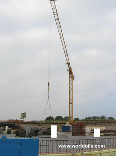 Potain MCT88 Tower Crane + JCB JS 190 Excavator for Sale