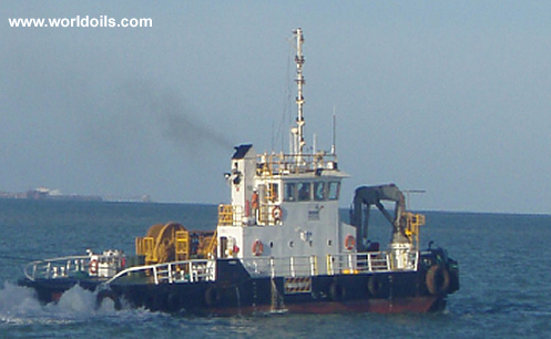 26M Multicat for Sale