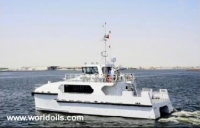 CAT Type Fast Ferry Boat for Sale