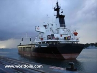 Small Size Bulk Carrier for Sale
