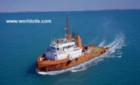 Safety/Standby/Utility Vessel - 40 mts - for Sale