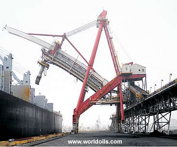 Dock Conveyor for Sale